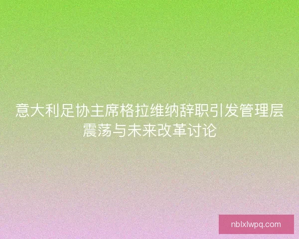 意大利足协主席格拉维纳辞职引发管理层震荡与未来改革讨论
