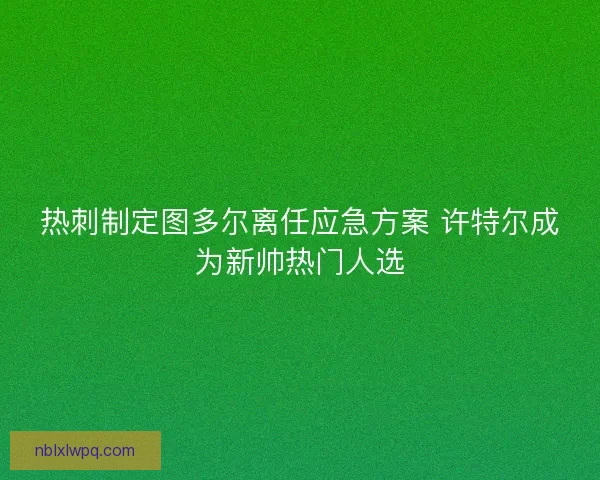 热刺制定图多尔离任应急方案 许特尔成为新帅热门人选