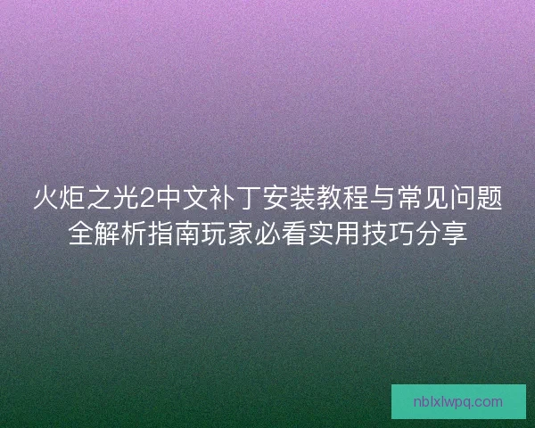 火炬之光2中文补丁安装教程与常见问题全解析指南玩家必看实用技巧分享